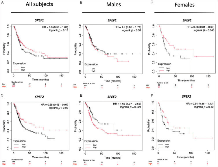 <i>SPEF1</i> and <i>SPEF2</i> as potential biomarkers in bladder cancer: Insights from a comprehensive bioinformatic analysis.