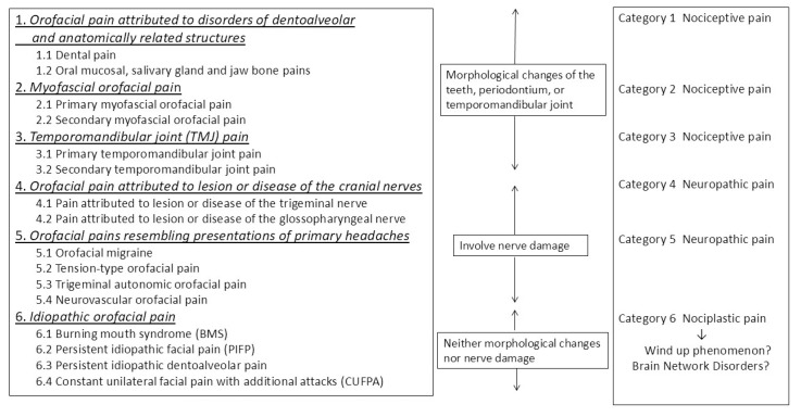 Estrogen-Mediated Neural Mechanisms of Sex Differences in Burning Mouth Syndrome.