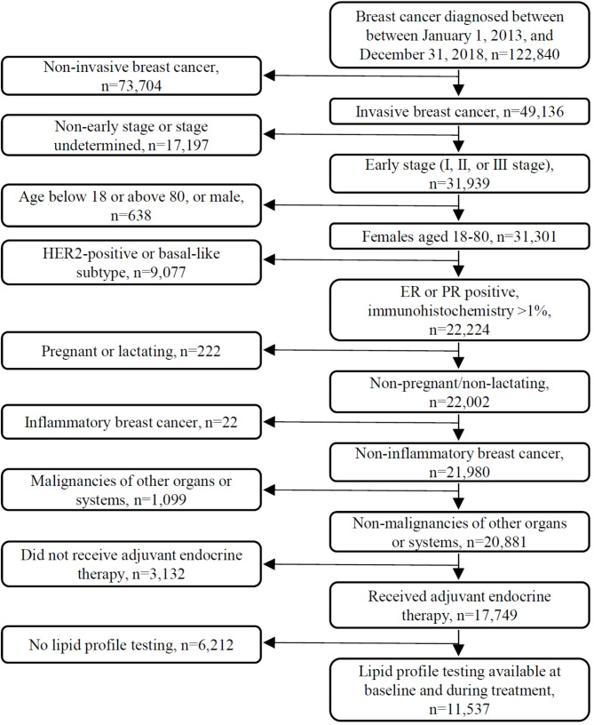 Investigating cardiovascular diseases related to endocrine therapy in hormone receptor-positive early breast cancer: insights from a nationwide real-world study.