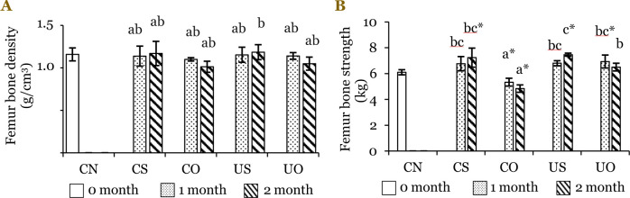 Exploring the potential of calcium-fortified sweet potato noodles for osteoporosis prevention: Insights from in vivo rat studies.