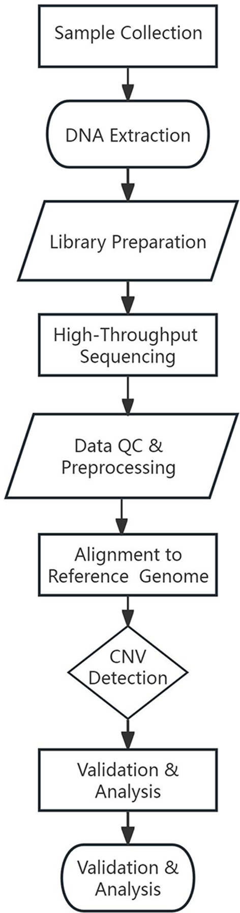 Prenatal diagnosis and molecular cytogenetic analyses of a rare 15q21.3 and 16p11.2 microduplication family.