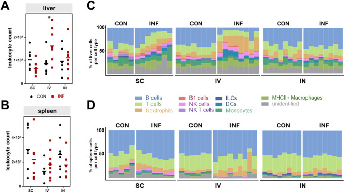 Interleukin-6 overexpression and elevated granulocyte-to-lymphocyte ratio indicate hepatic stress in experimental group a Streptococcus sepsis.
