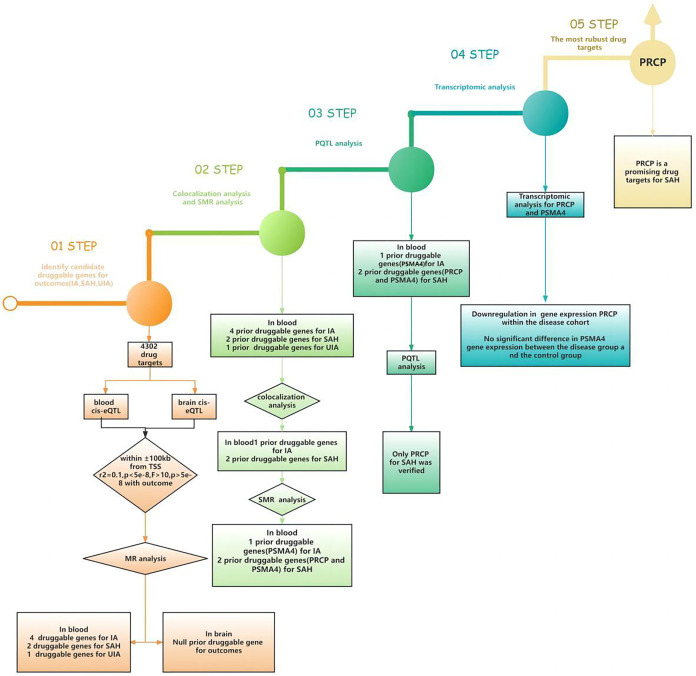 PRCP is a promising drug target for intracranial aneurysm rupture supported via multi-omics analysis.