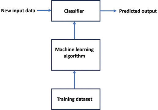 Artificial intelligence for diagnosing bladder pathophysiology: An updated review and future prospects.