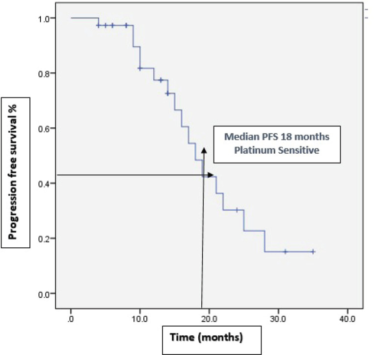 Bevacizumab in recurrent epithelial ovarian cancer: real-world experience from a tertiary cancer hospital in India.