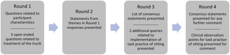 Physiotherapy of the Trunk Related to Sitting Function After Stroke: A Delphi Study.