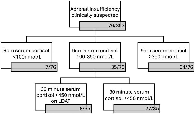 Adrenal insufficiency in giant cell arteritis.