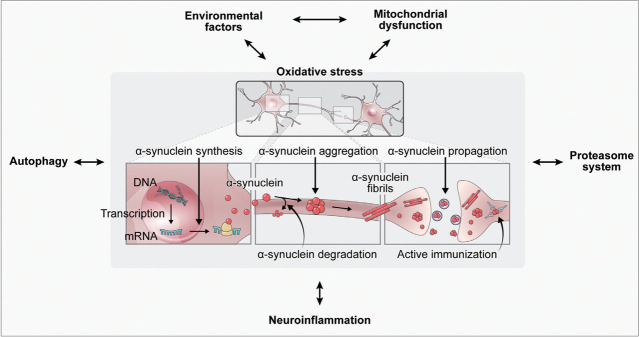 Drug Repositioning and Repurposing for Disease-Modifying Effects in Parkinson's Disease.