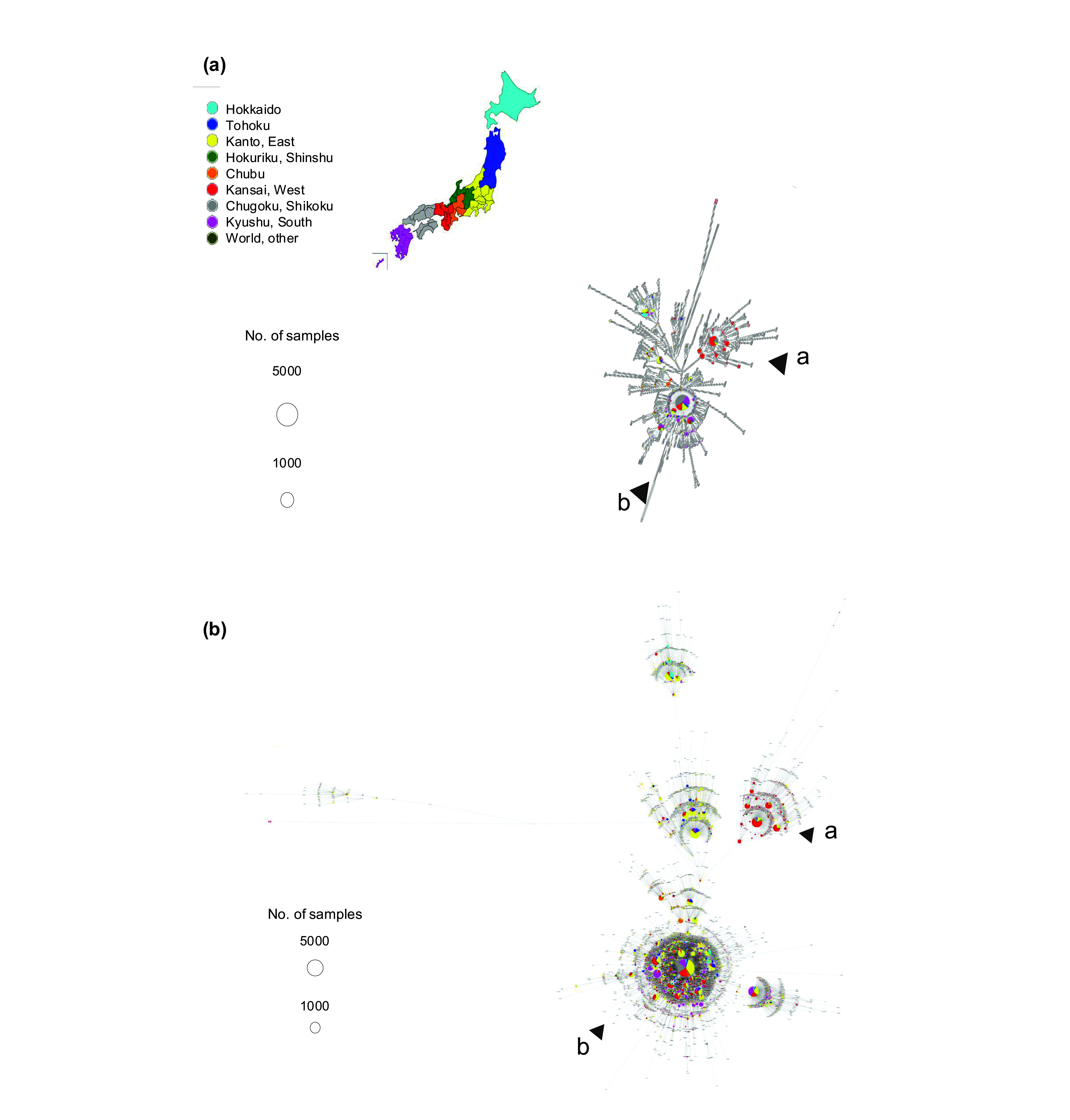 Enhanced case finding and self-isolation measures in the early phase of SARS-CoV-2 Omicron transmission, Osaka, Japan, December 2021-January 2022.