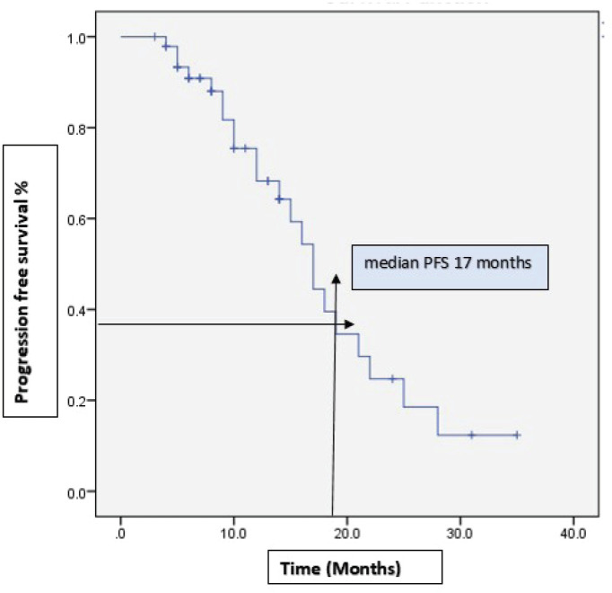 Bevacizumab in recurrent epithelial ovarian cancer: real-world experience from a tertiary cancer hospital in India.