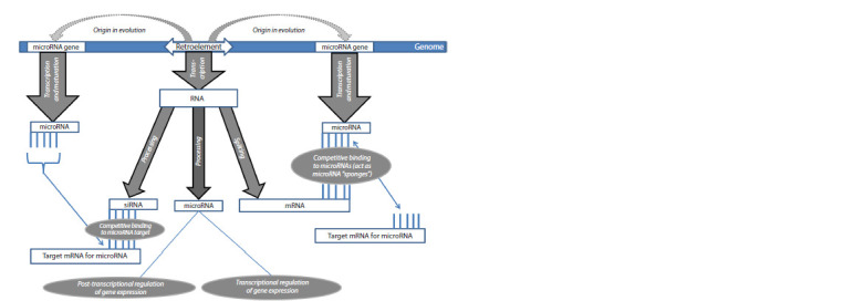 The role of retroelements in Parkinson's disease development.
