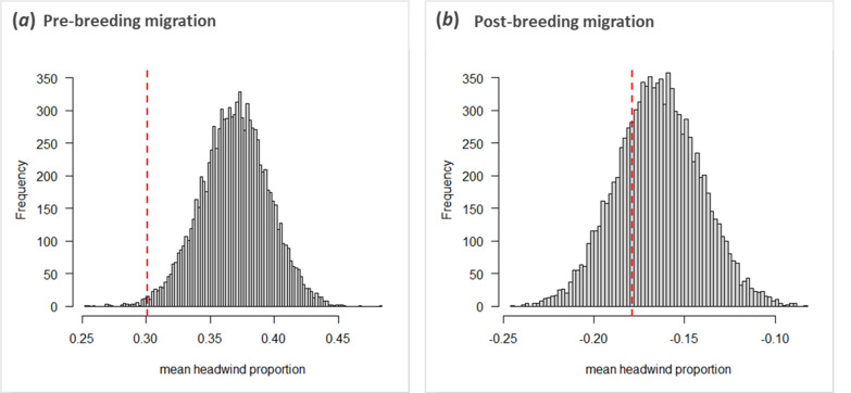 Route flexibility is associated with headwind minimization in a long-distance migratory seabird.