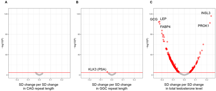 The Influence of Trinucleotide Repeats in the Androgen Receptor Gene and Testosterone Level on Circulating Proteins in Male Participants: Proteomics Analysis Using the UK Biobank Data.
