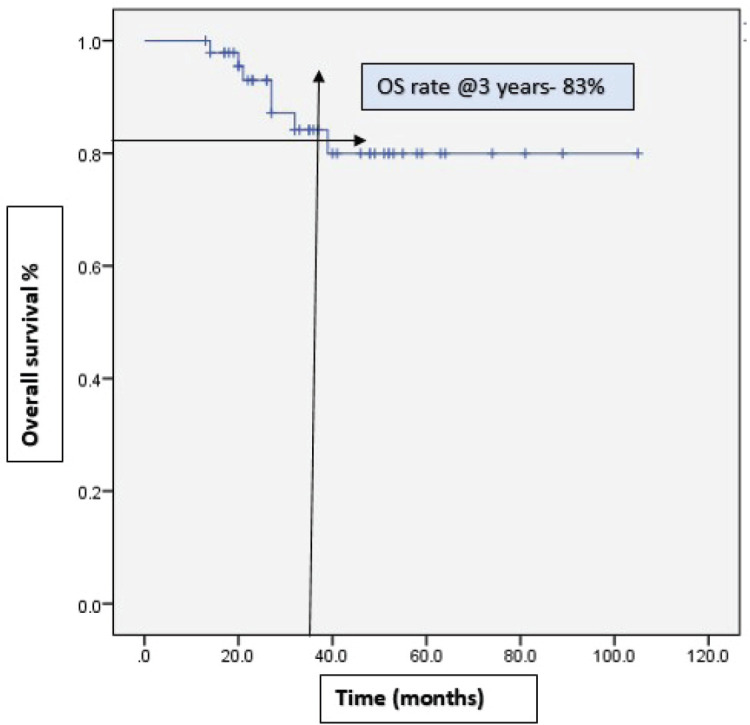 Bevacizumab in recurrent epithelial ovarian cancer: real-world experience from a tertiary cancer hospital in India.