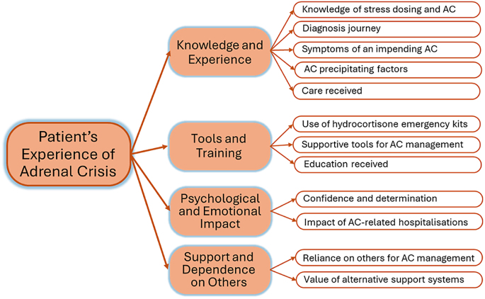 Factors influencing self-management of adrenal crisis in patients with adrenal insufficiency: a qualitative study.