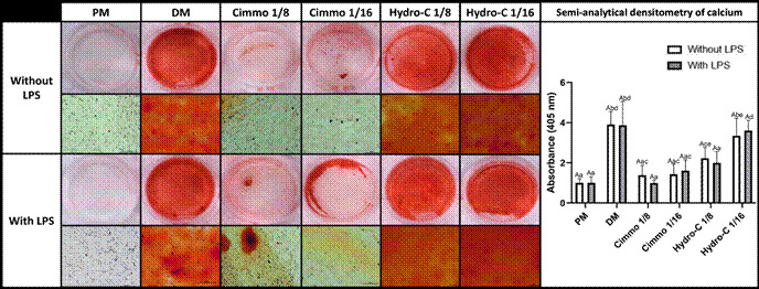 Cytotoxicity and bioactivity of CIMMO DTA restorative cement in human activated-dental pulp cells in vitro.