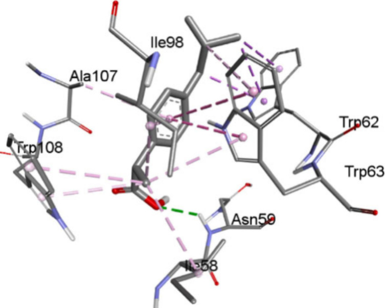Problematic Attributions of Entropic and Hydrophobic Effects in Drug Interactions.