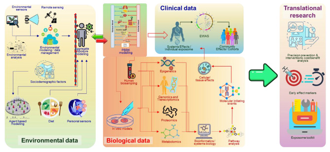 Advancing translational exposomics: bridging genome, exposome and personalized medicine.