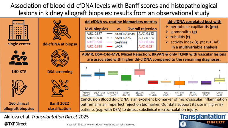 Association of Blood Donor-derived Cell-free DNA Levels With Banff Scores and Histopathological Lesions in Kidney Allograft Biopsies: Results From an Observational Study.