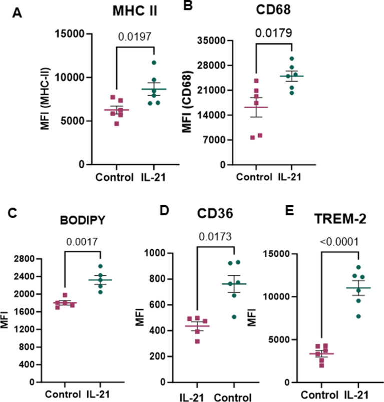 Chronic IL-21 drives neuroinflammation and promotes lipid accumulation in microglia.