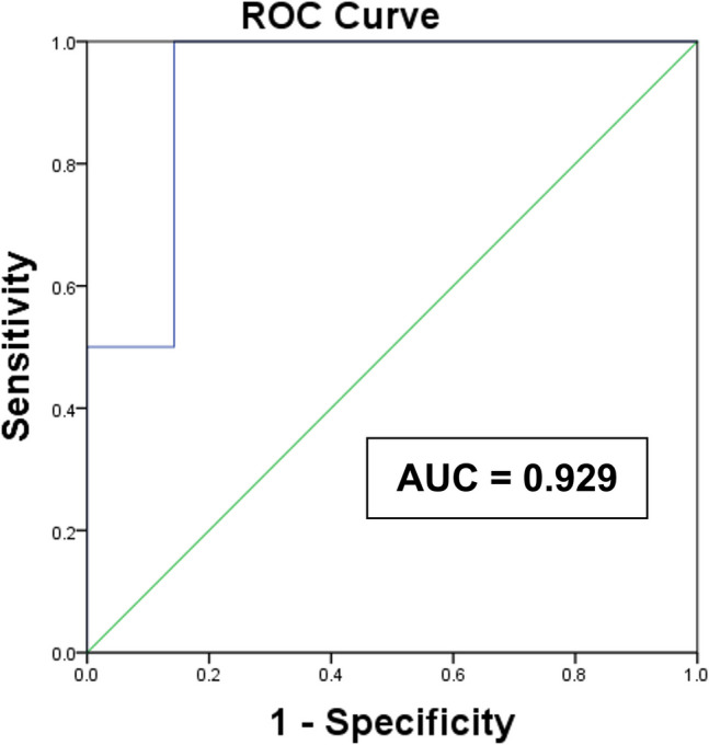 Objective evaluation of major depressive disorder using sleep electroencephalography measured by an in-home portable one-channel device: a preliminary study.