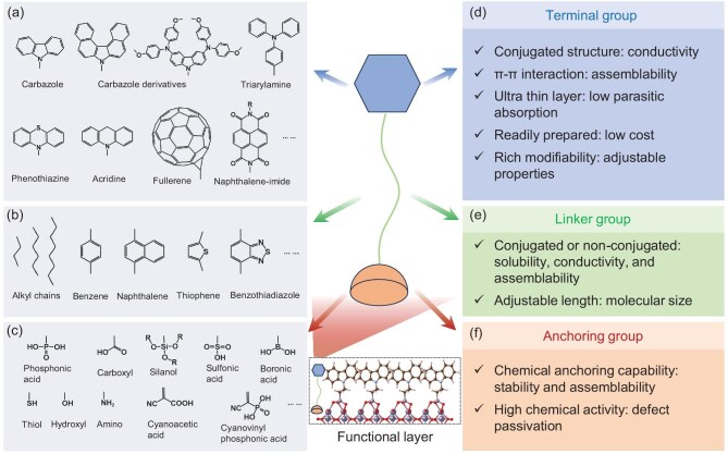 Role of self-assembled molecules in halide perovskite optoelectronics: an atomic-scale perspective.