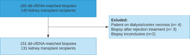 Association of Blood Donor-derived Cell-free DNA Levels With Banff Scores and Histopathological Lesions in Kidney Allograft Biopsies: Results From an Observational Study.