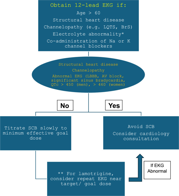 Cardiovascular Effects of Antiseizure Medications for Epilepsy.