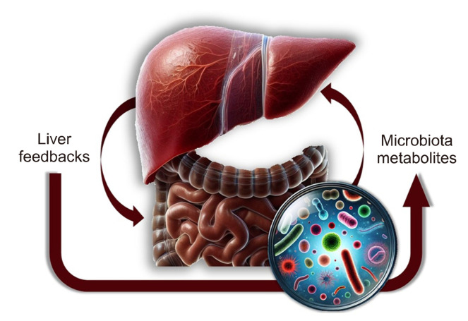 A Systematic Review of the Effects of Probiotics and Synbiotics on Infection Incidence after Liver Transplant Surgery.