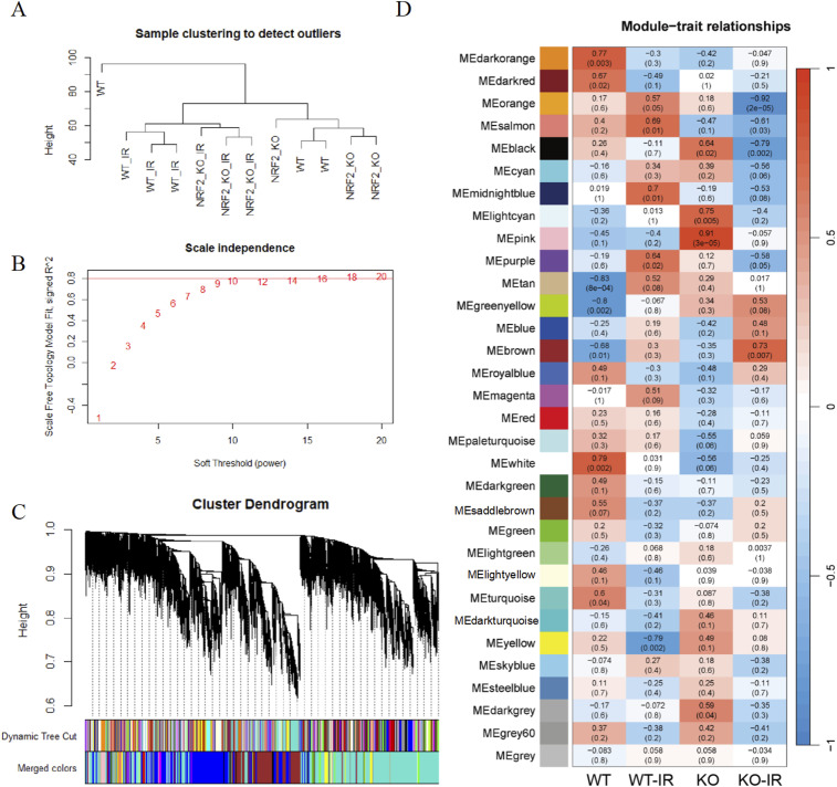 Alterations of DNA Repair and Immune Infiltration in Radiation-Induced Intestinal Injury.