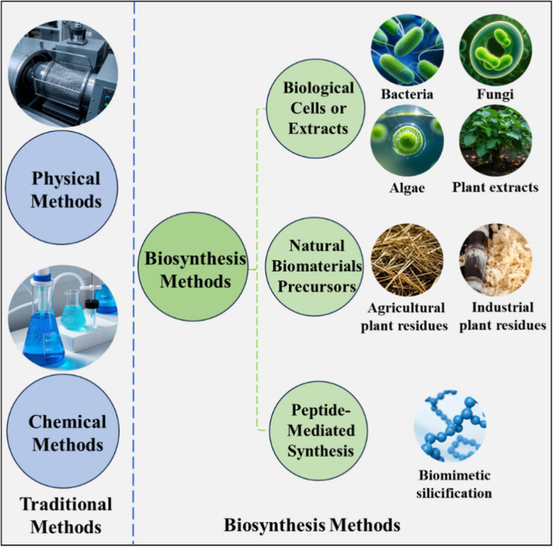 Advances in silica nanoparticles for agricultural applications and biosynthesis.