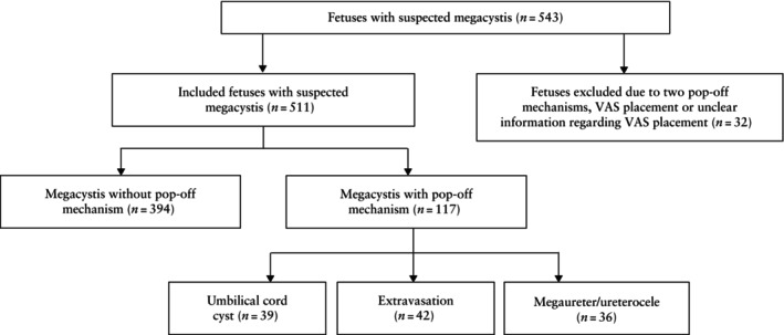 Pop-off mechanisms in fetal megacystis: extravasation, umbilical cord cyst, ureterocele and megaureter.