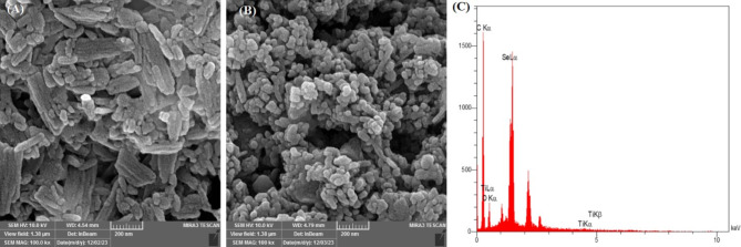 Enhancing the anticancer effects of rosmarinic acid in PC3 and LNCaP prostate cancer cells using titanium oxide and selenium-doped graphene oxide nanoparticles.