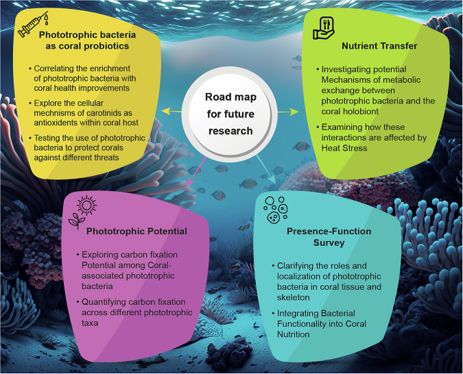 Phototrophic bacteria as potential probiotics for corals.