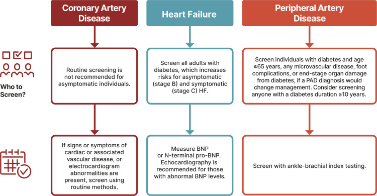 Section 10: Cardiovascular Disease and Risk Management.