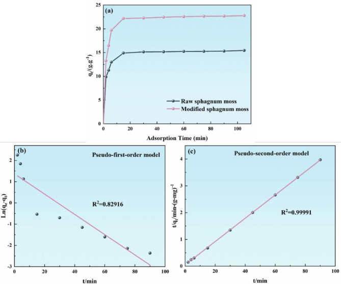 Sustainable hydrophobic bio-based adsorbent from modified sphagnum moss for efficient oil-water separation.