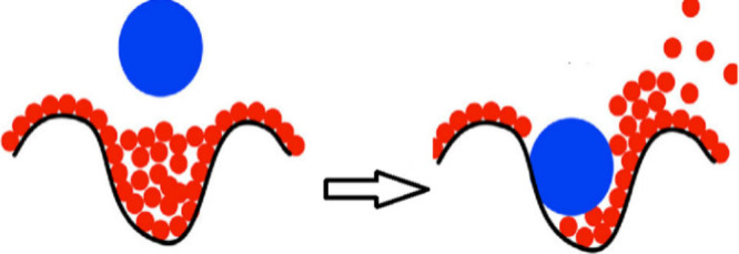 Problematic Attributions of Entropic and Hydrophobic Effects in Drug Interactions.