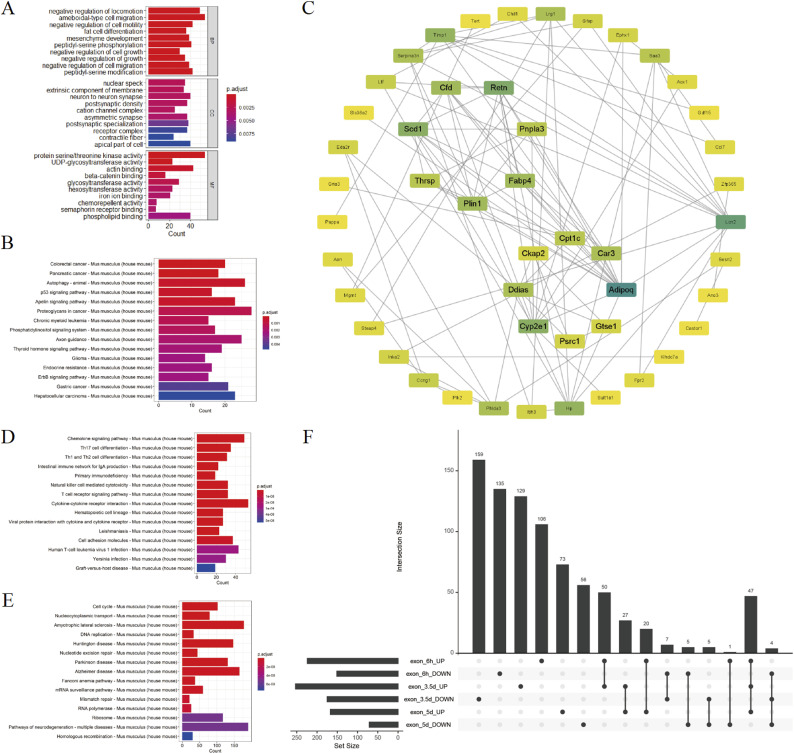 Alterations of DNA Repair and Immune Infiltration in Radiation-Induced Intestinal Injury.