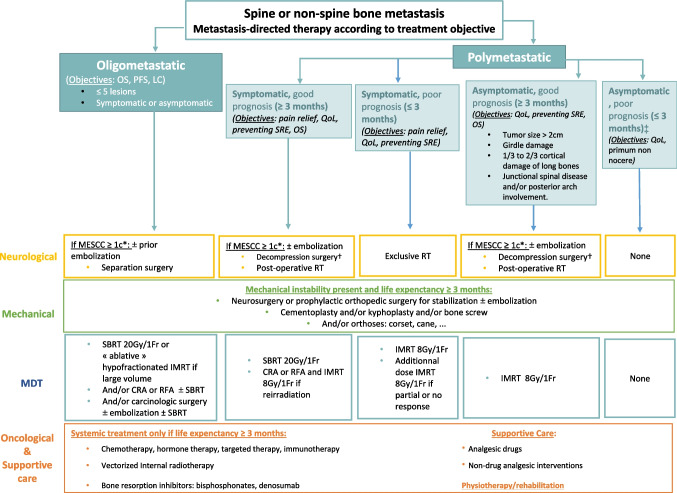 State-of-the-art of multidisciplinary approach of bone metastasis-directed therapy: review and challenging questions for preparation of a GEMO practice guidelines.
