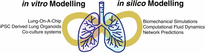A multidisciplinary approach towards modeling of a virtual human lung.