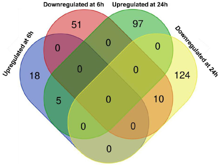 <i>Arabidopsis thaliana</i> Roots Exposed to Extracellular Self-DNA: Evidence of Epigenetic Effects.