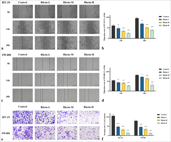 Rhein-induced apoptosis in colorectal cancer cell lines: A mechanistic study of the myeloid differentiation primary response gene 88/toll-like receptor 4/nuclear factor kappa-B signaling pathway.