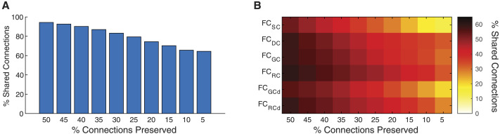 Quantifying the influence of biophysical factors in shaping brain communication through remnant functional networks.