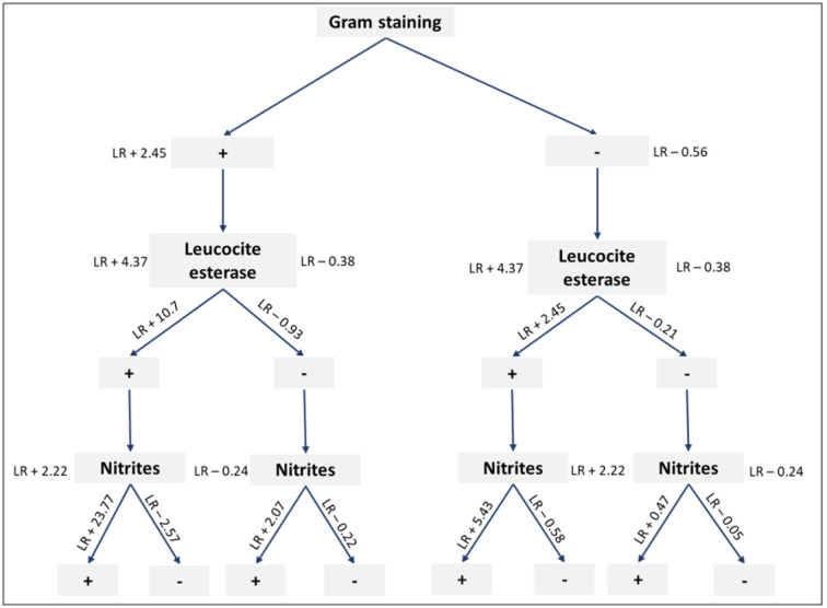 Performance of Gram Stain, Leukocyte Esterase, and Nitrite in Predicting the Presence of Urinary Tract Infections: A Diagnostic Accuracy Study.