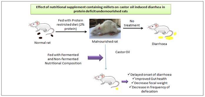 MILLET BASED NUTRITIONAL SUPPLEMENT FOR DIARRHEAL EPISODE IN PROTEIN ENERGY MALNOURISHED CONDITION: AN EXPERIMENTAL APPROACH IN CASTOR OIL MODEL.