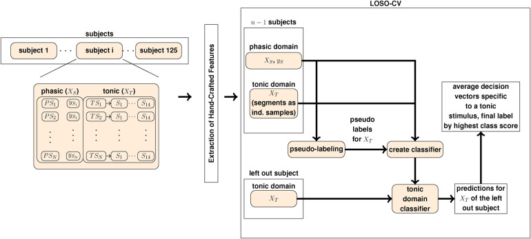 Pseudo-labeling based adaptations of pain domain classifiers.