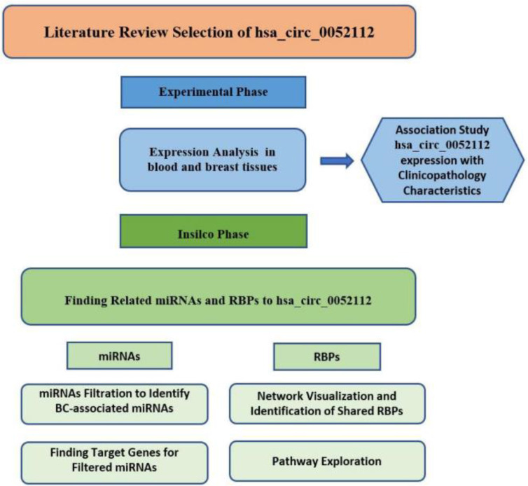 Exploring the Role of hsa_circ_0052112 as a Potential Biomarker in Breast Cancer: Insights from Experimental and <i>In Silico</i> Analyses.