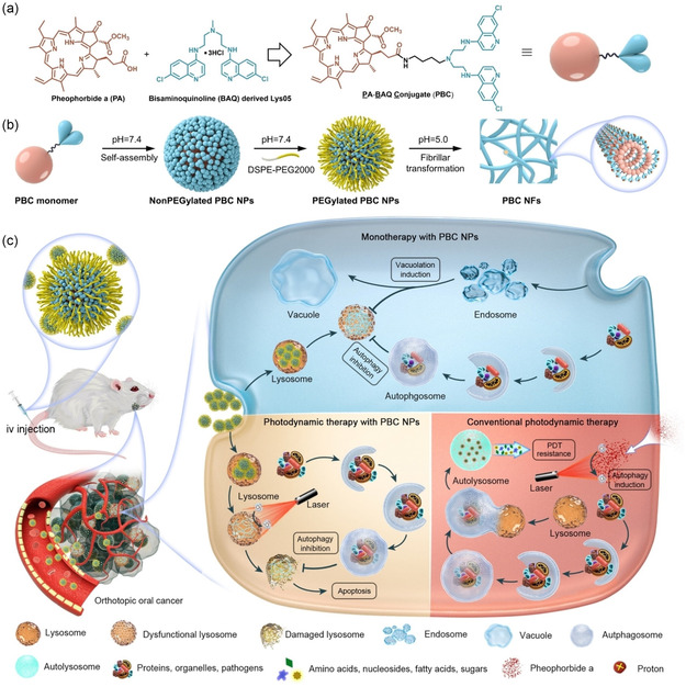 Nanomedicine Approaches for Autophagy Modulation in Cancer Therapy.