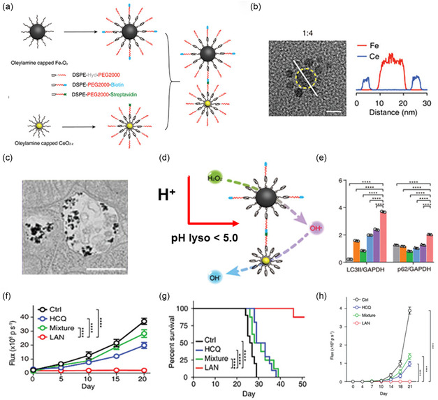 Nanomedicine Approaches for Autophagy Modulation in Cancer Therapy.