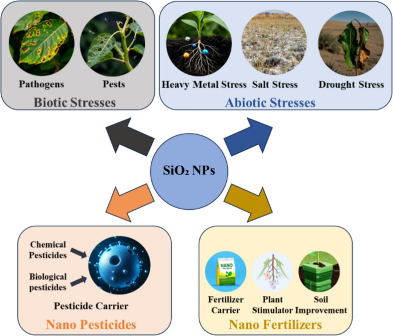 Advances in silica nanoparticles for agricultural applications and biosynthesis.